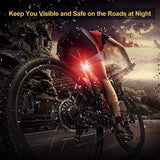 USB Rechargeable LED Bike Tail Light 2 Pack