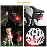 USB Rechargeable LED Bike Tail Light 2 Pack