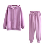 sports hoodies sweatshirt and pants suits
