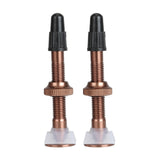 2pcs Bicycle Valve 40mm/60mm MTB Road Bike Tubeless Tires Conversion Anodize Aluminum Alloy