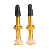 2pcs Bicycle Valve 40mm/60mm MTB Road Bike Tubeless Tires Conversion Anodize Aluminum Alloy