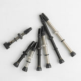 40/60/80mm 2PCS Bicycle Tubeless Tire Presta Valve Brass Core Brass Stem W/ Alloy & Tool