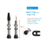 40/60/80mm 2PCS Bicycle Tubeless Tire Presta Valve Brass Core Brass Stem W/ Alloy & Tool