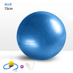 Sports Yoga Balls Fitness Balance Ball