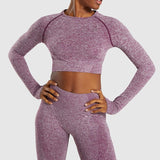 Women Yoga Gym Clothing Fitness Shirts Sport Suit